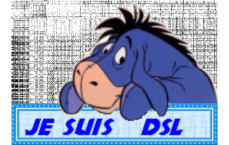 Samedi 5 août : plongées annulées