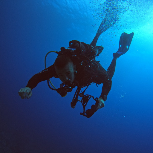 Chris-Bardoula---N4GP